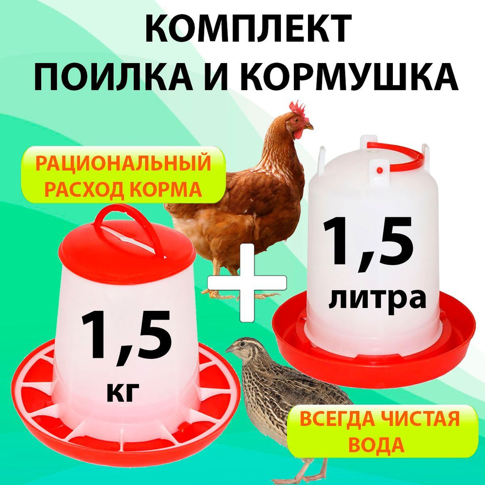 Кормушка-поилка лотковая 30 см пластик для цыплят
