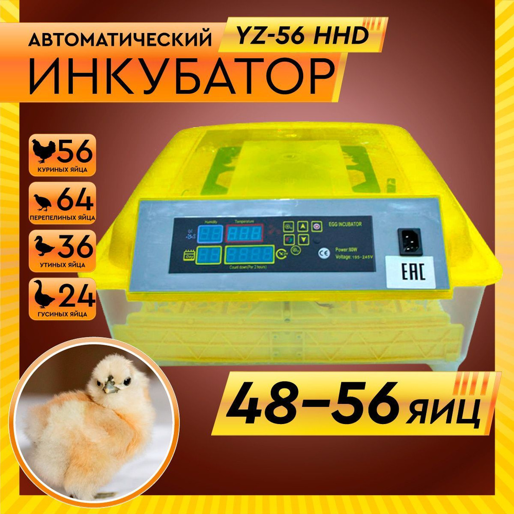 Инкубатор автоматический 48-56 яиц HHD, YZ-56