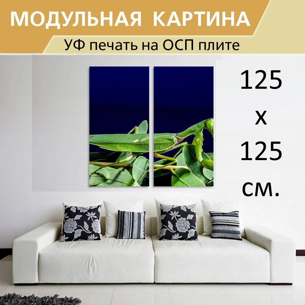 LotsPrints Модульная картина, 2 #1