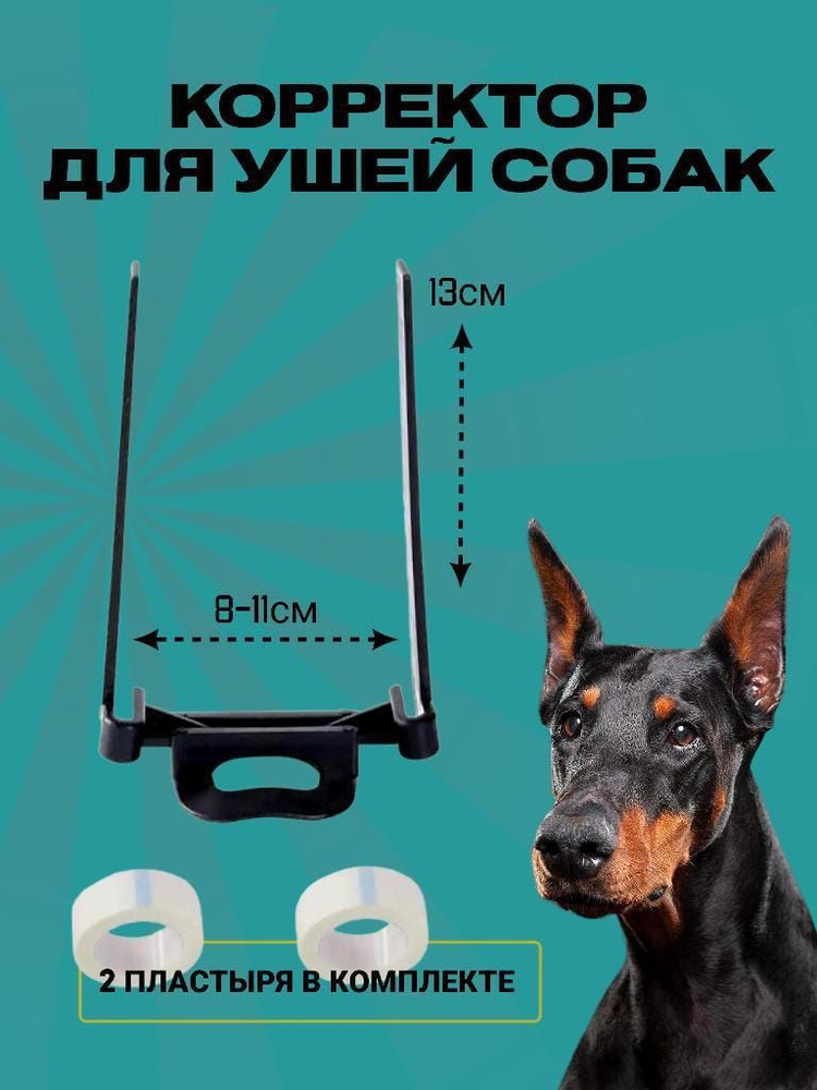 Корректор для ушей, Подставка для ушей собак #1