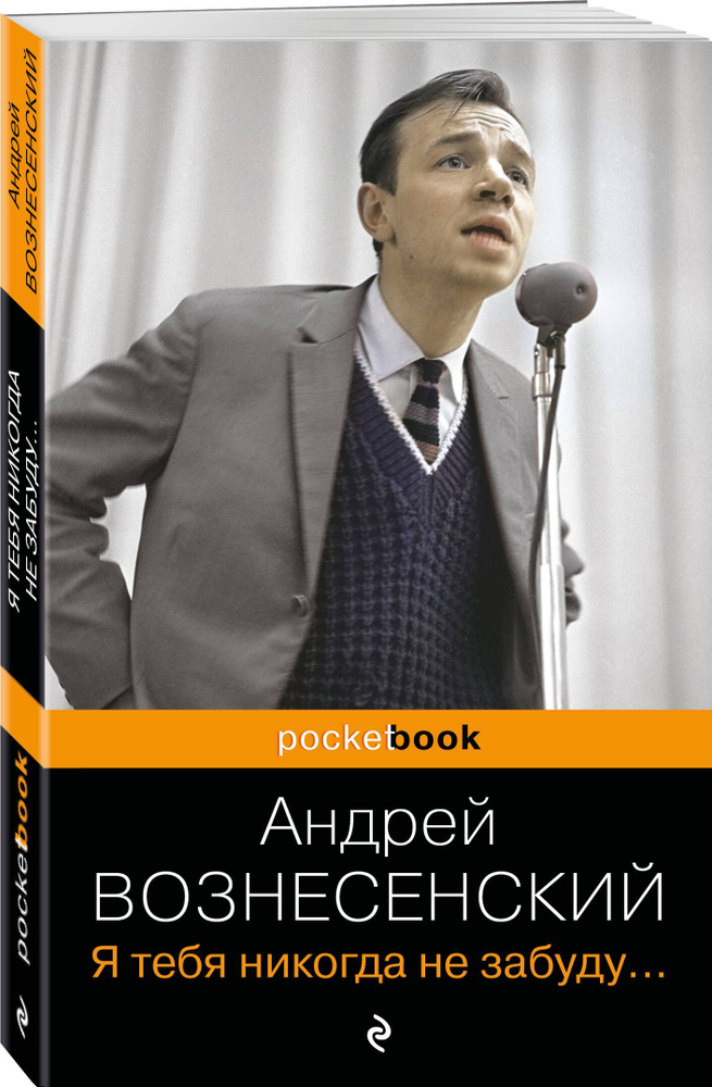 Я тебя никогда не забуду... | Вознесенский Андрей Андреевич #1