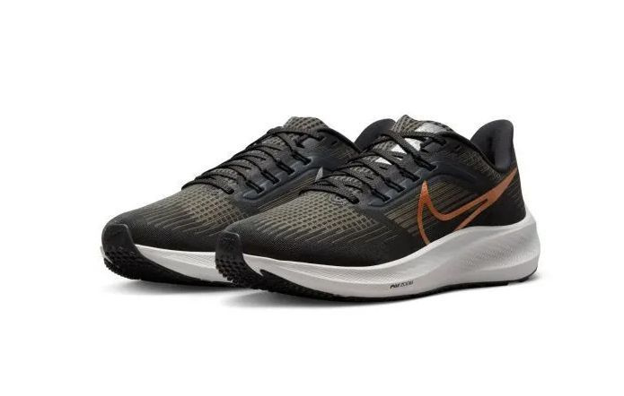 Кроссовки Nike Air Zoom Pegasus 39 #1