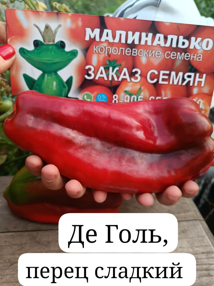 Семена #1