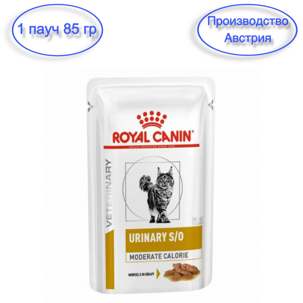 Royal canin urinary so moderate hot sale calorie cat