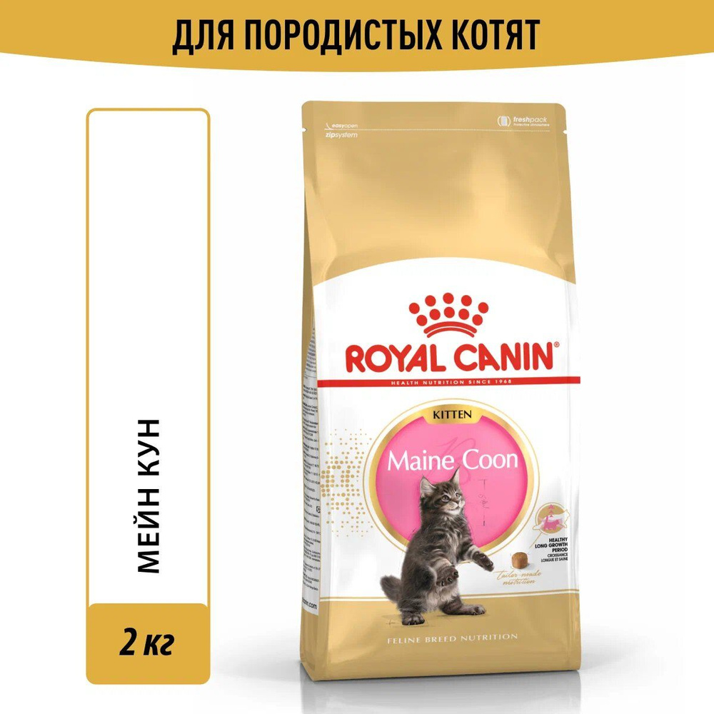 Корм сухой сбалансированный для котят породы Мэйн Кун Royal Canin Maine Coon Kitten , 2 кг  #1