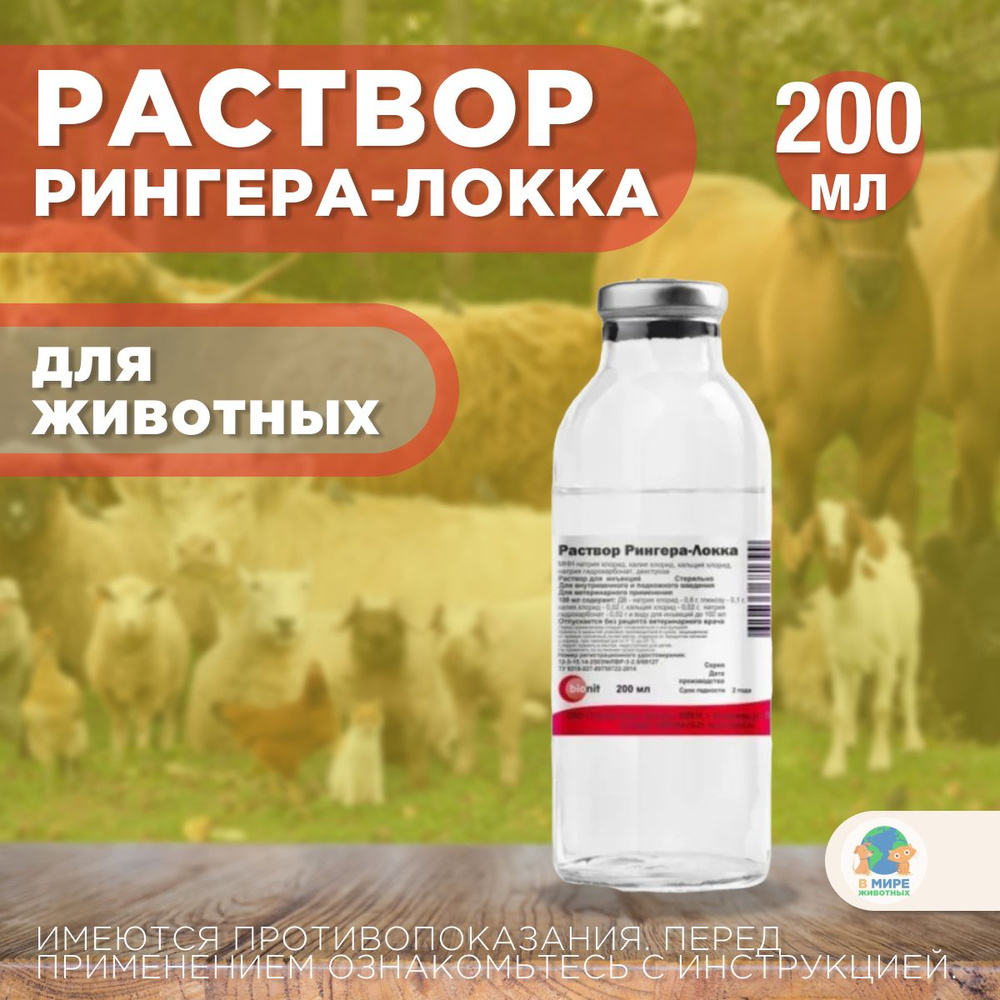 БИОНИТ, Раствор Рингера-Локка, 200 мл - купить с доставкой по выгодным  ценам в интернет-магазине OZON (1290701397)