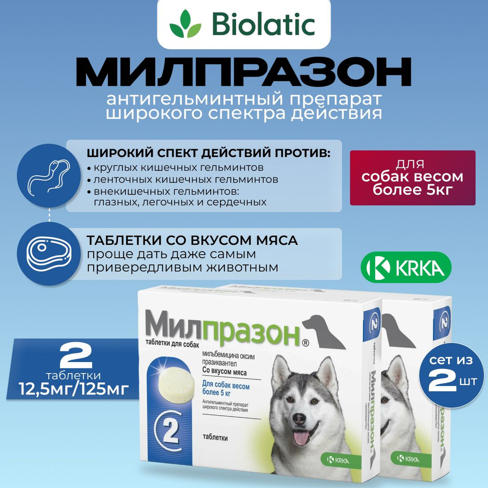 Милпразон, 12,5 мг/125 мг, СЕТ 2 шт, антигельминтик для собак более 5 кг -  купить с доставкой по выгодным ценам в интернет-магазине OZON (787404916)
