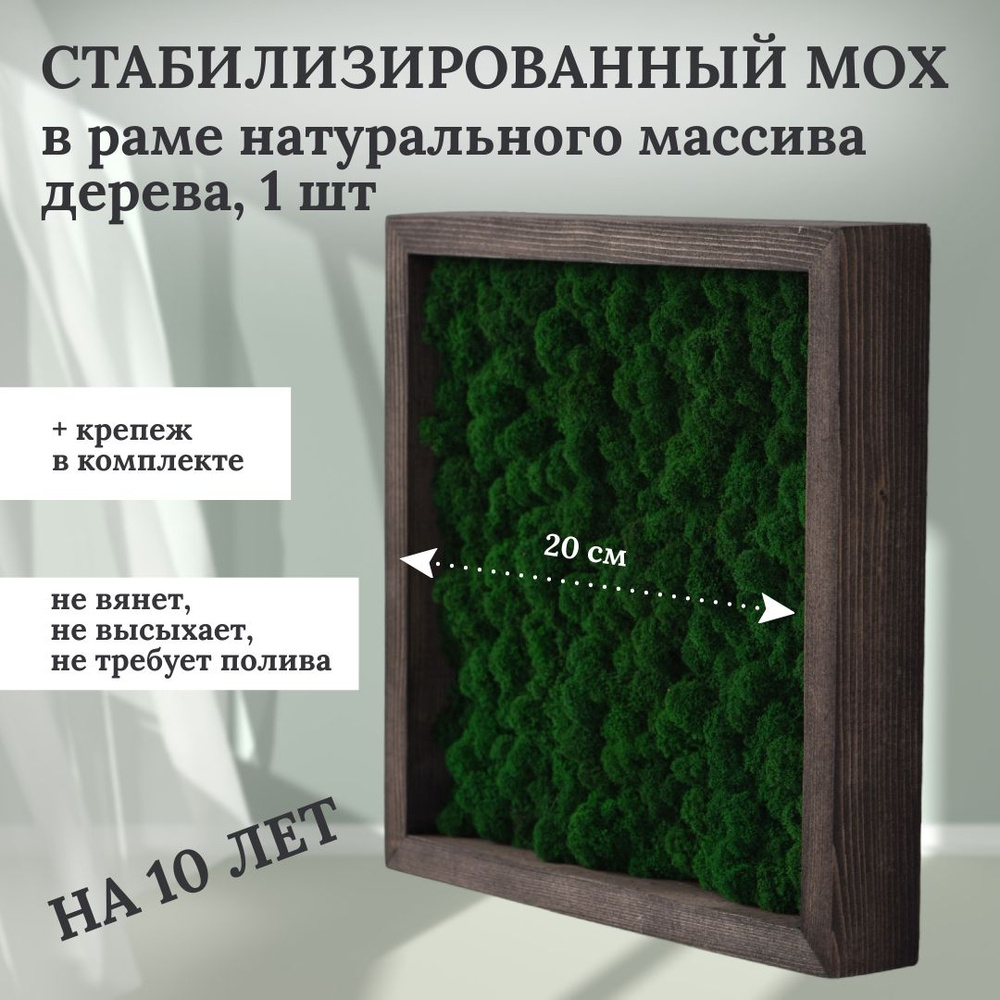Панно Волшебная страна Со стабилизированным мхом (ягель)_1 01001_панно ...