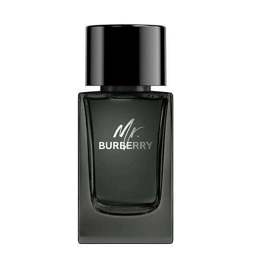 Burberry mr 2024 burberry parfum