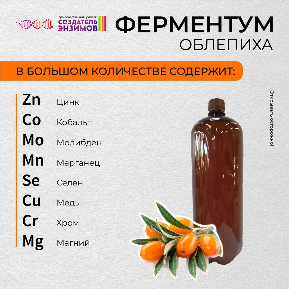 Ферментум Создатель Энзимов Облепиха 1, 75 литр ПЭТ - купить с ...