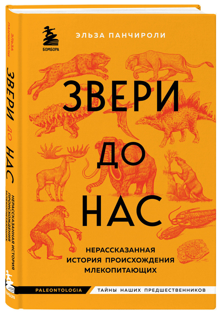 Звери до нас. Нерассказанная история происхождения млекопитающих #1