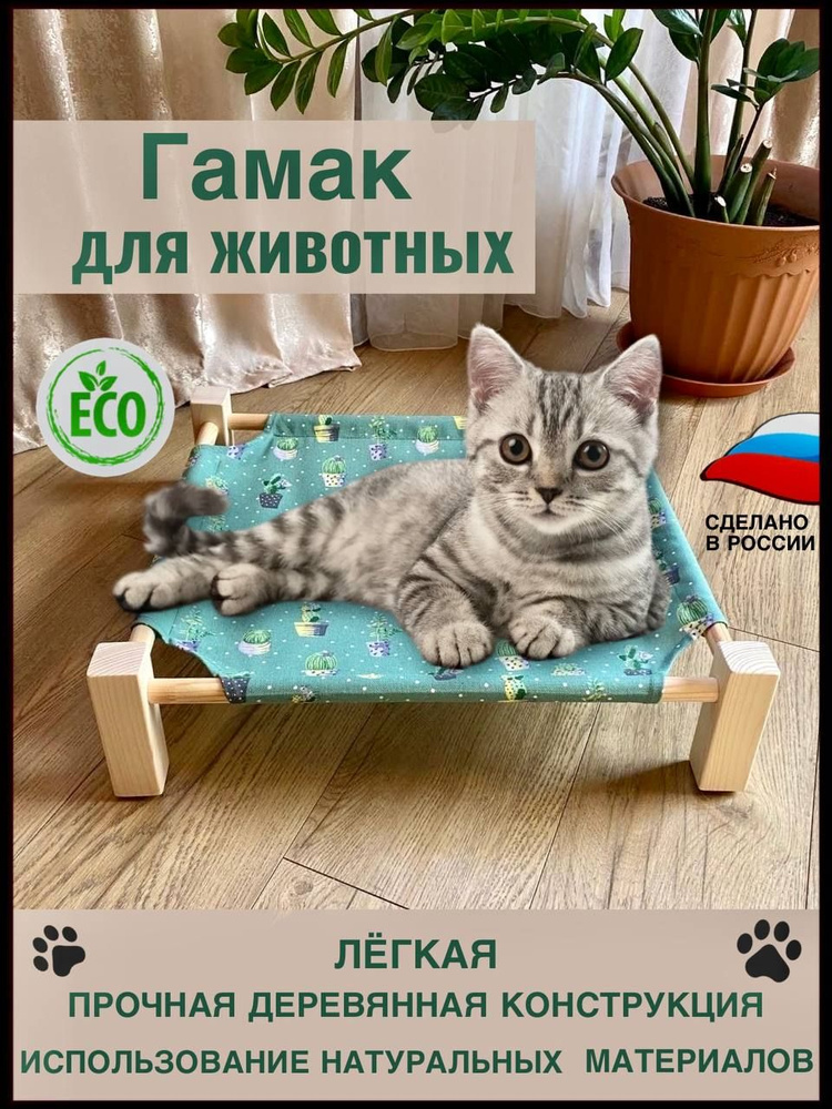 Можно ли пускать кошку в свою кровать? | Hill's Pet