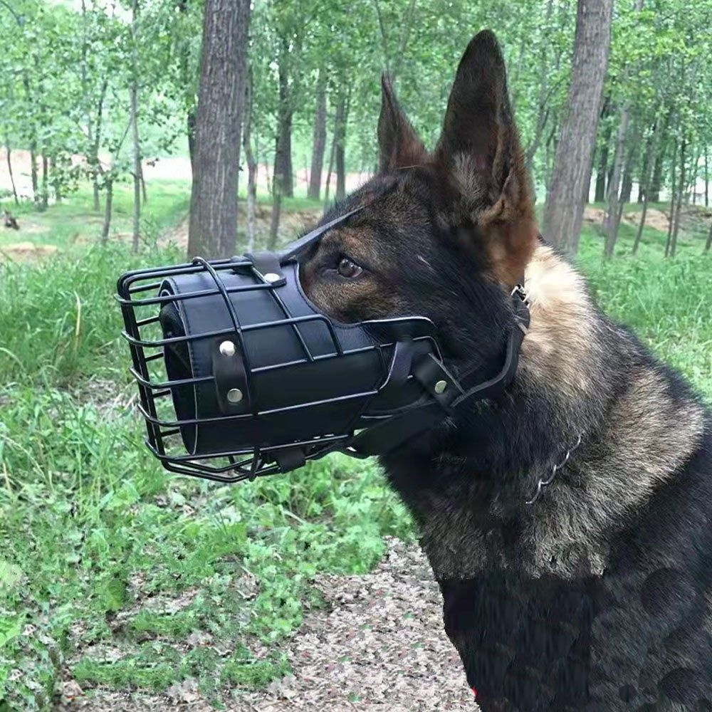 Намордник #1