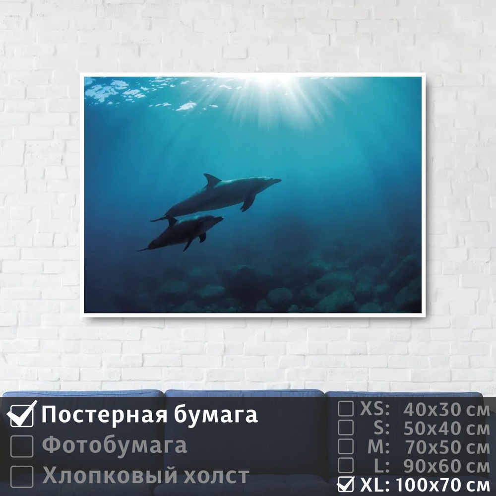 Постер на стену Два Дельфина Плавают В Глубине Океана 100х70 см ПолиЦентр #1