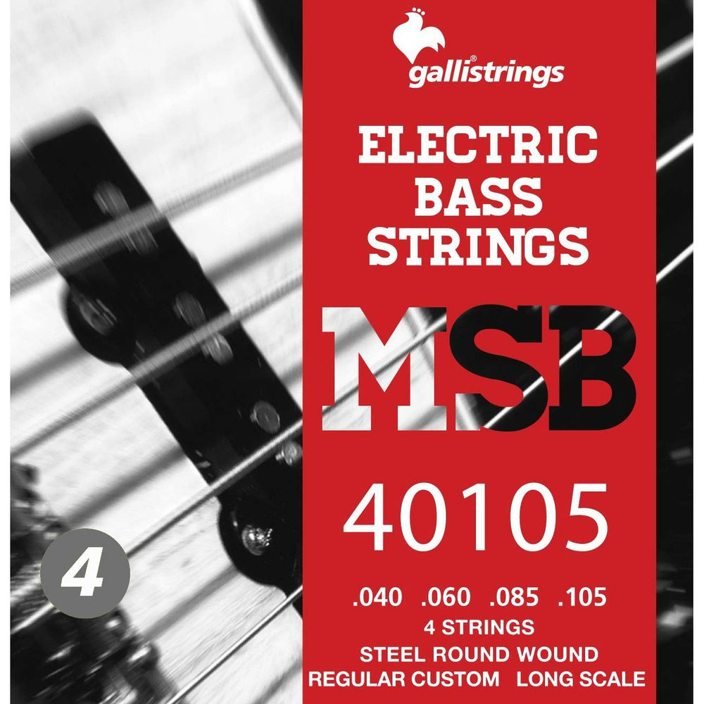 Струны для бас-гитары Galli Strings MSB40105 #1