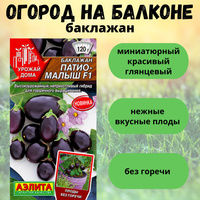 Подготовка почвы и выбор контейнера