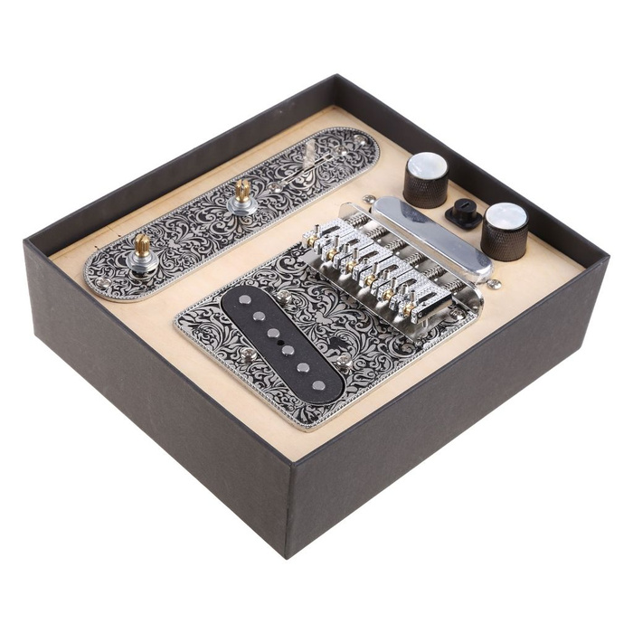 Комплект запчастей для электрогитары Fender: мост, панель ...