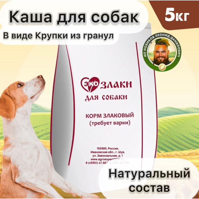 Крупы для корма собак. Полезные крупы для собак. Крупы для корма собак. Крупы для щенка. Крупа для кошек.