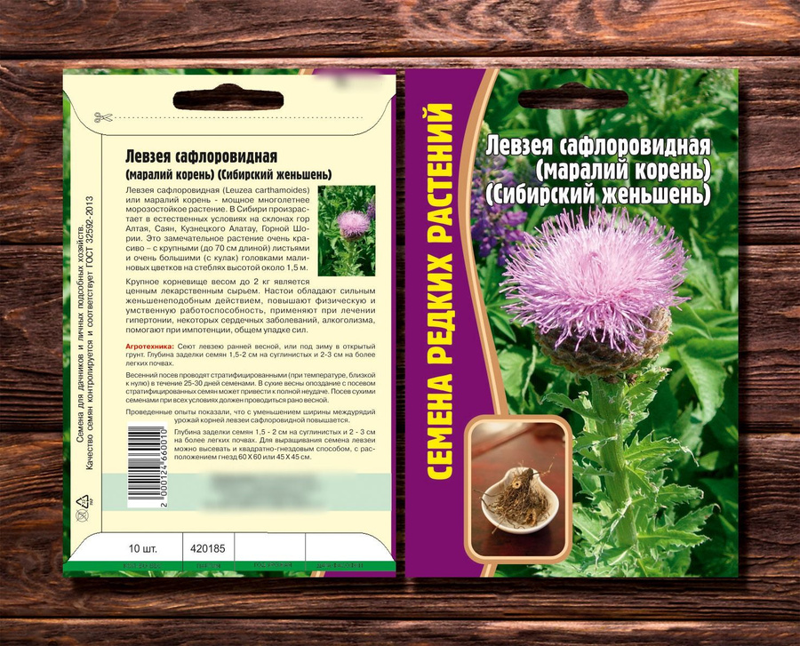 Левзея крупным планом