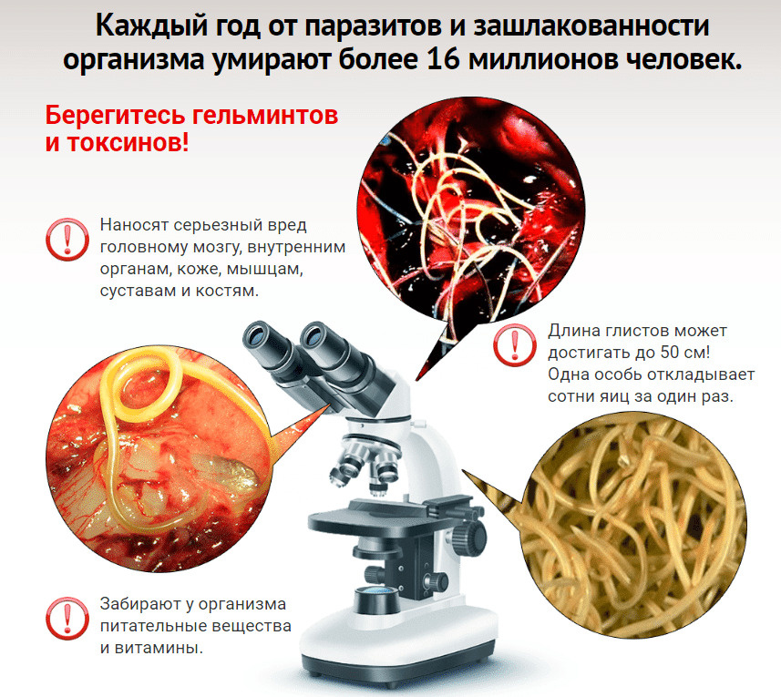 Текстовое описание изображения