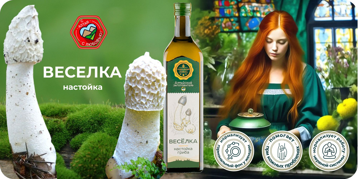 Экстракт настойка гриба Веселка обыкновенная - Алтайский заготовитель ...
