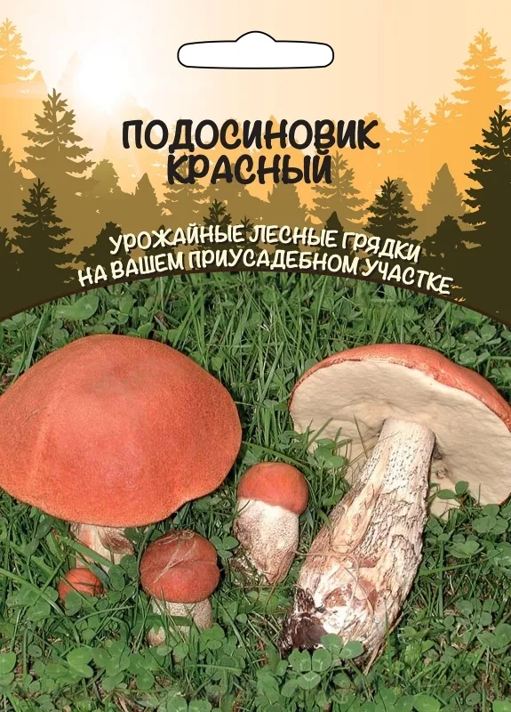Грибы Подосиновик Красный, 1 пакет, зерновой мицелий 30 мл, Уральский Дачник, 30 мл