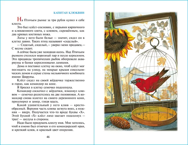 Алый. Ю. Коваль. Школьная библиотека. Внеклассное чтение | Коваль Юрий Иосифович, вариант, фото 3