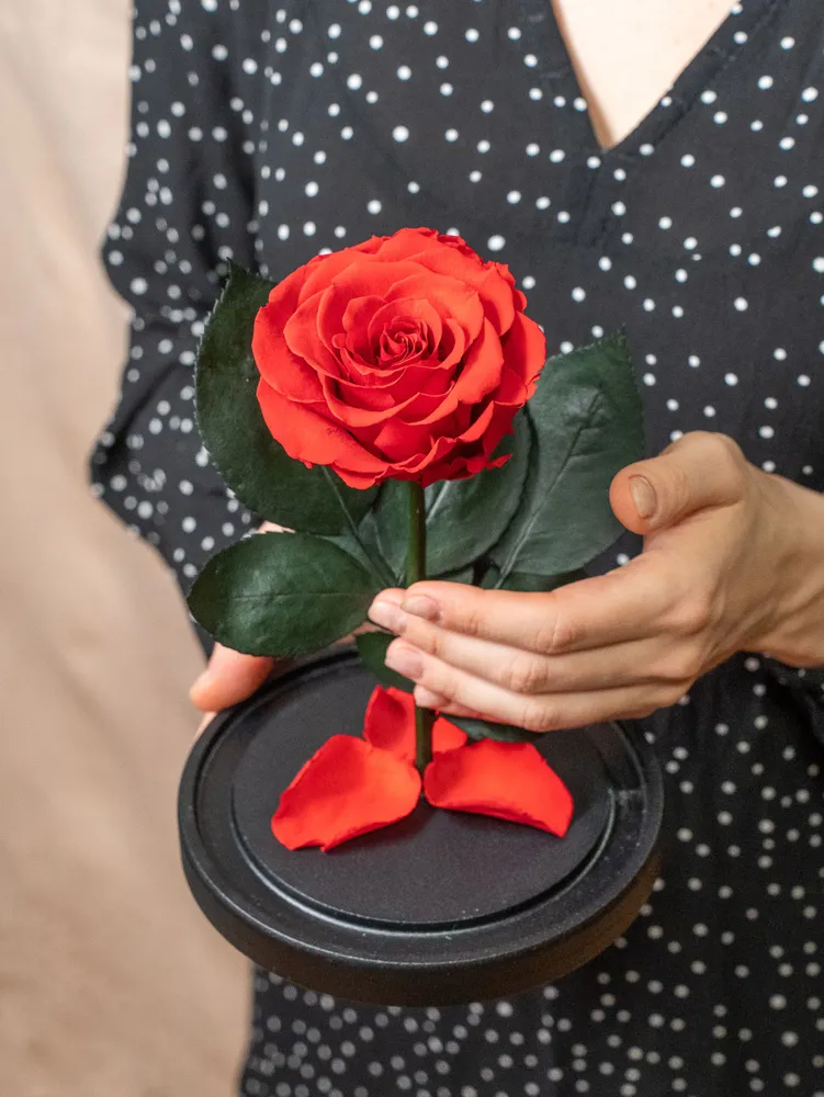 Стабилизированные цветы в стекле, Роза в колбе живая Bella розовая, GIFT4YOU, красный, фото 3