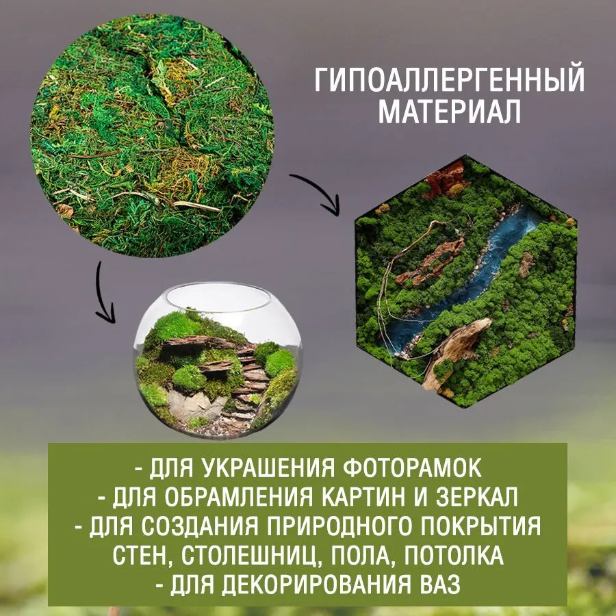 Стабилизированный мох Мох 25 г 1 шт зеленый, 25 г, 1 шт, фото 4