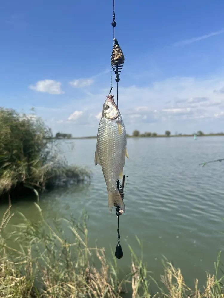 Фидерный монтаж с кормушкой, супер карась, убийца карася 2 увеличенные кормушки, груз 40г, плетеный шнур #2