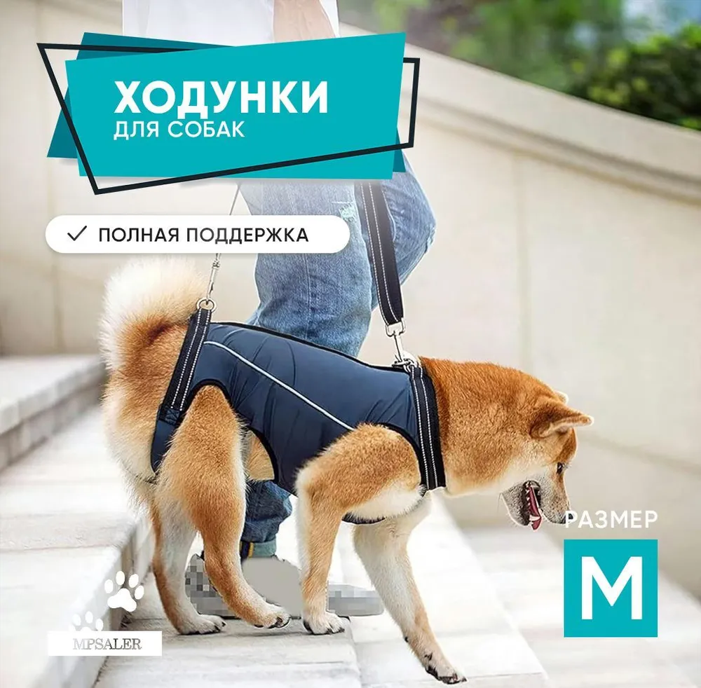 Полная поддержка для собак. Ходунки для пожилых и травмированных собак. Размер M., вариант