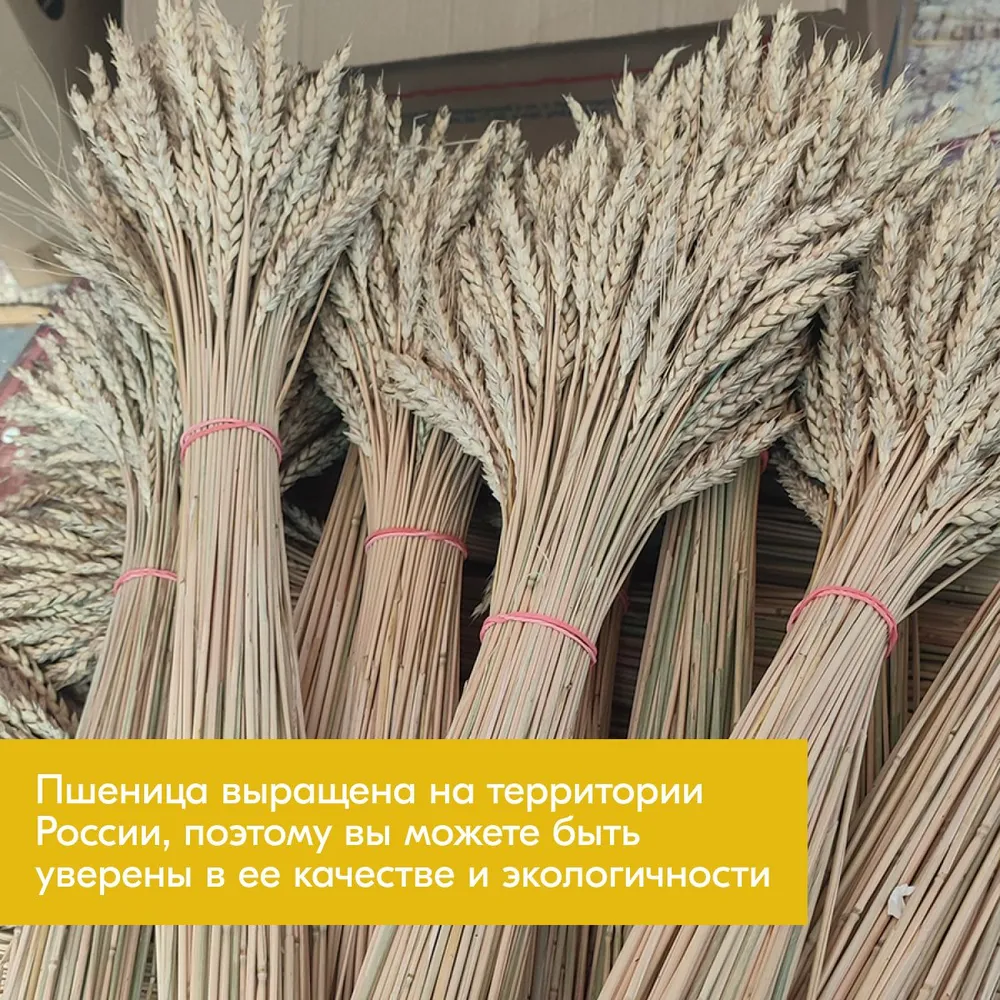 Элитупак Сухоцветы Пшеница 50 см светло-коричневый, коричневый, фото 6