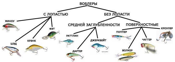 Чертежи воблеров и блесен