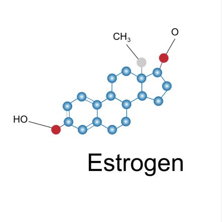 Текст при отключенной в браузере загрузке изображений