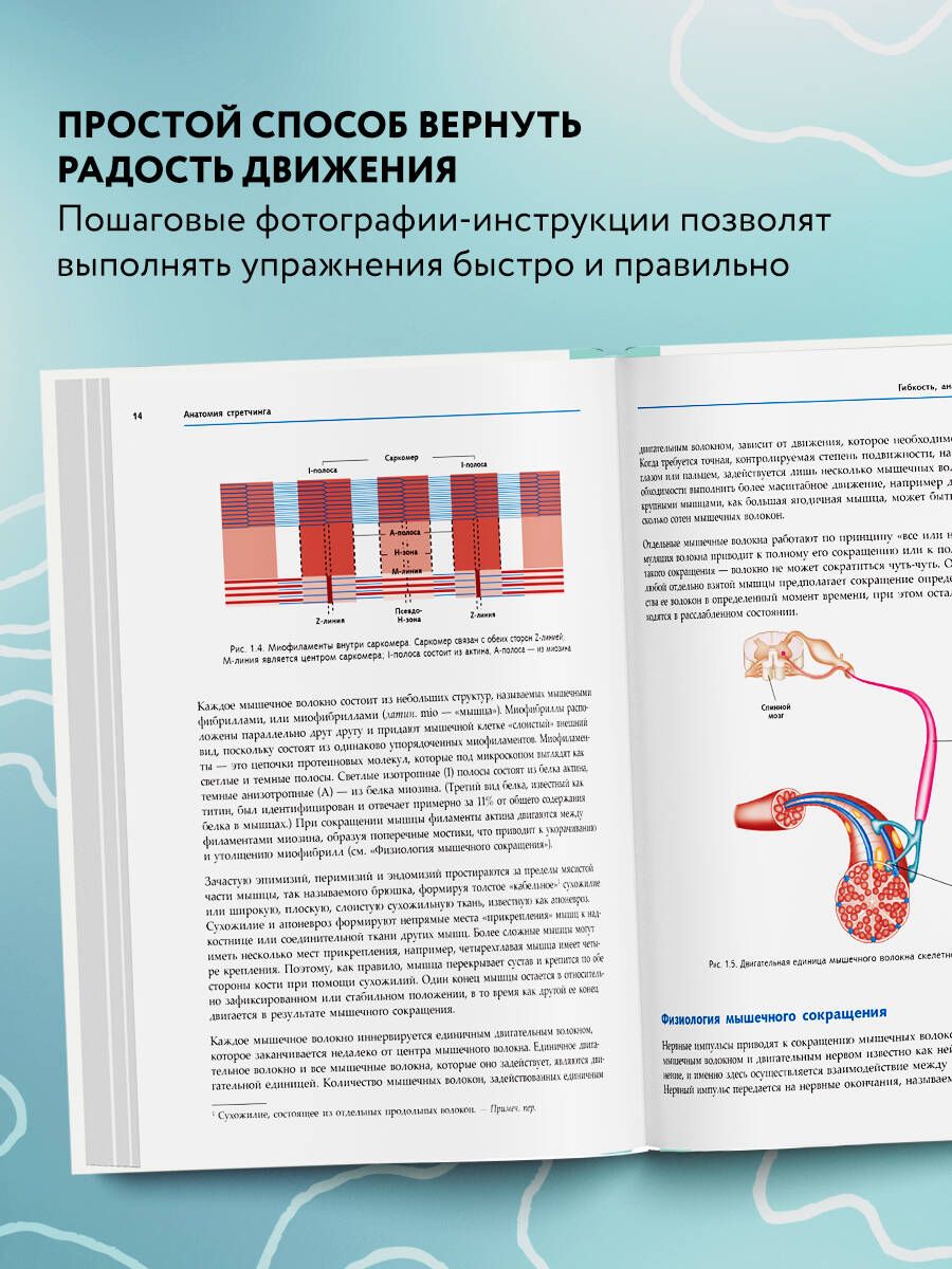 Анатомия стретчинга. Большая иллюстрированная энциклопедия | The Anatomy of Stretching: Your Illustrated Guide to Flexibility and Injury Rehabilitation - Ozon image 1