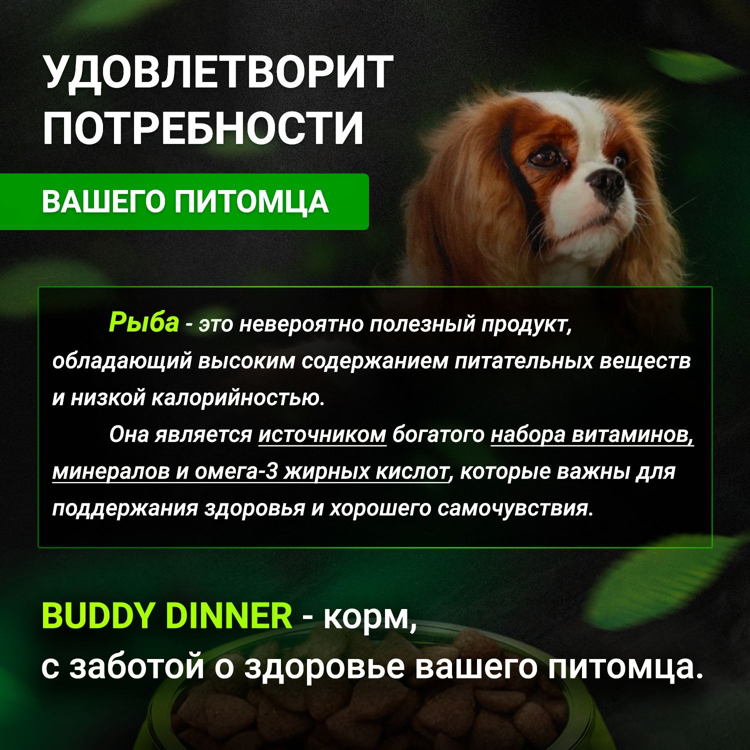 Корм бадди для собак. Buddy корм для собак. Buddy корм для собак отзывы.