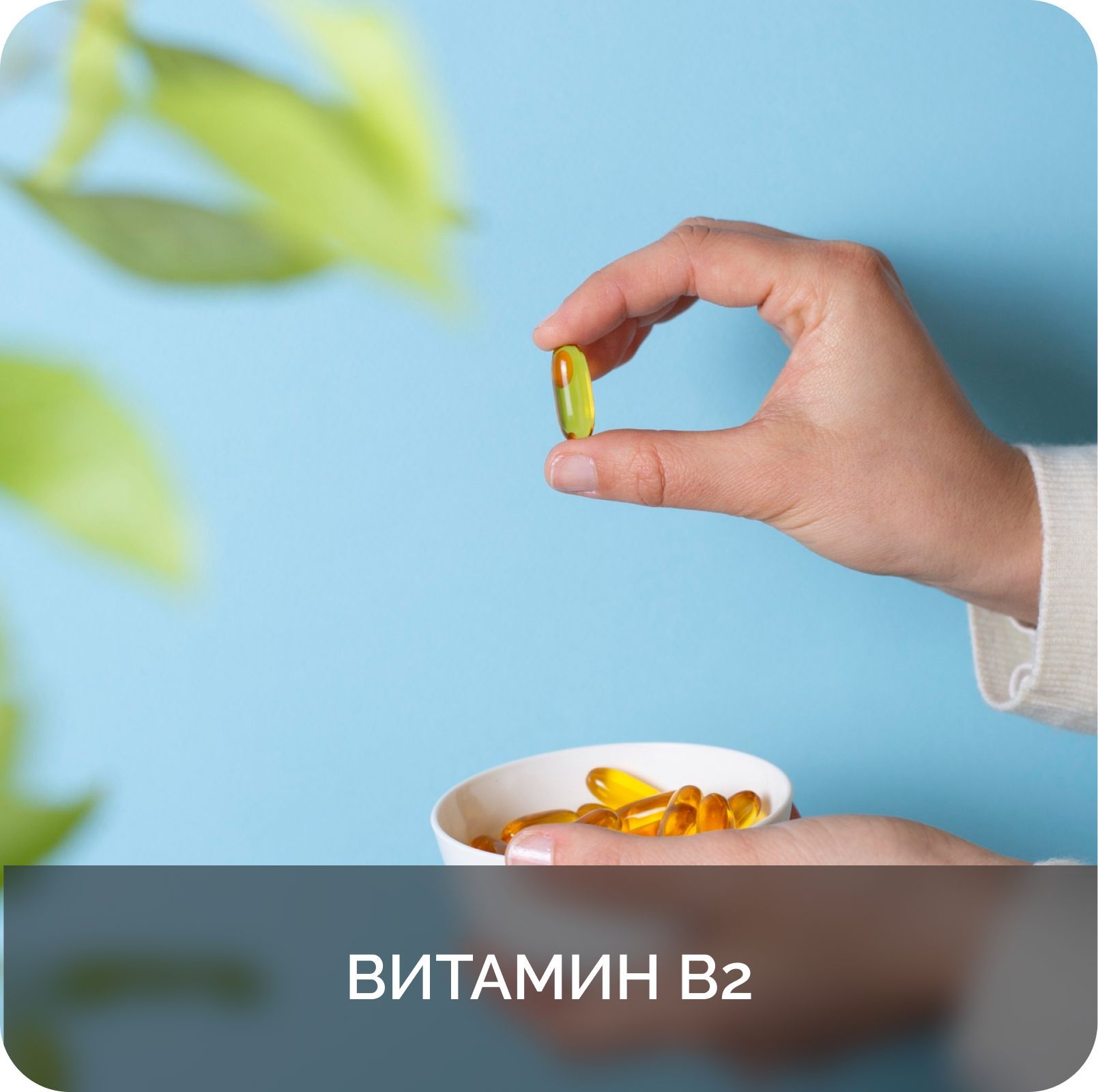 Витаминный комплекс MINDLY Daily Vitamin B9 Methylfolate, Витамин ...