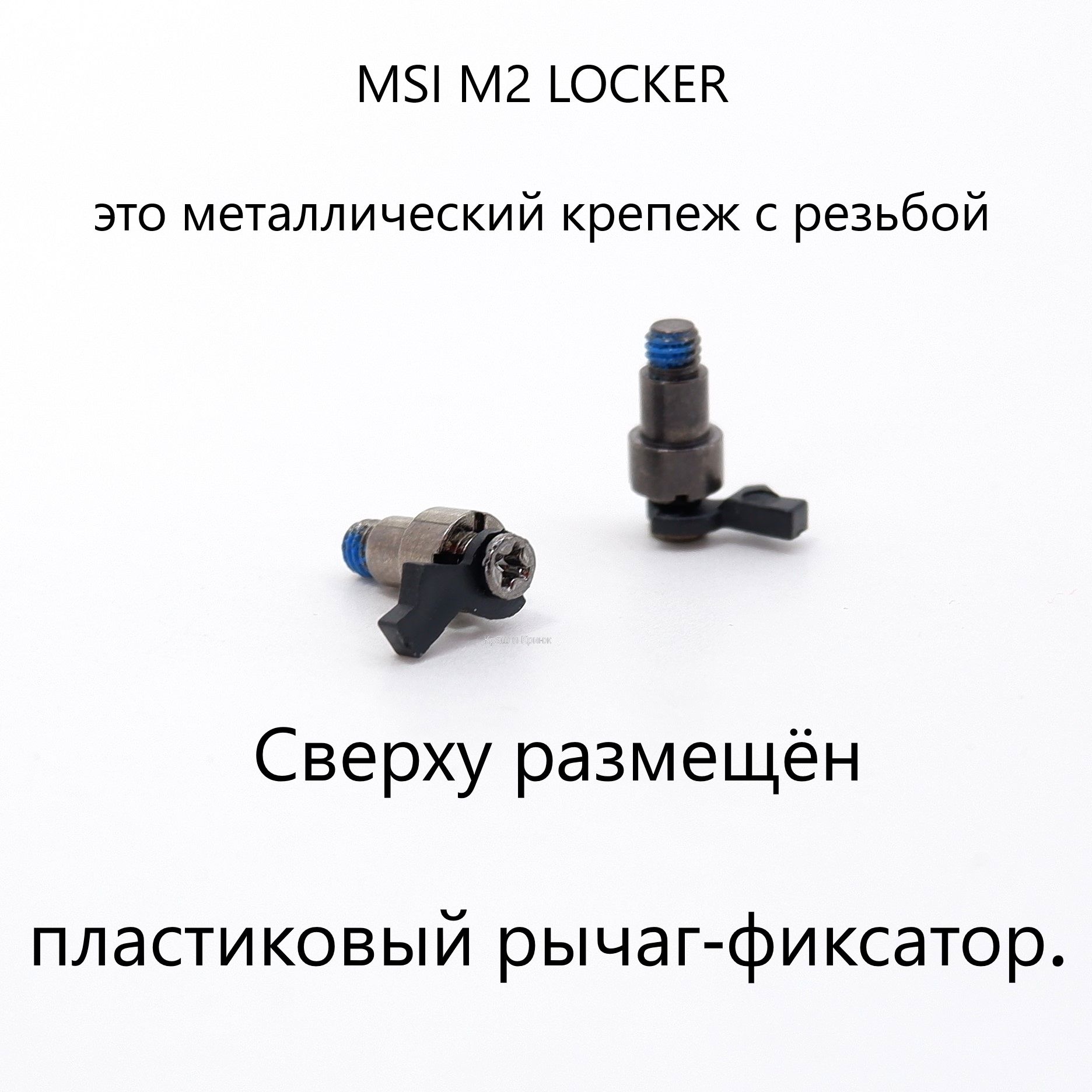 Крепеж MSI M.2 Locker EZ Clip kit SSD E27-7D25010-H75 Mounting Screw ...