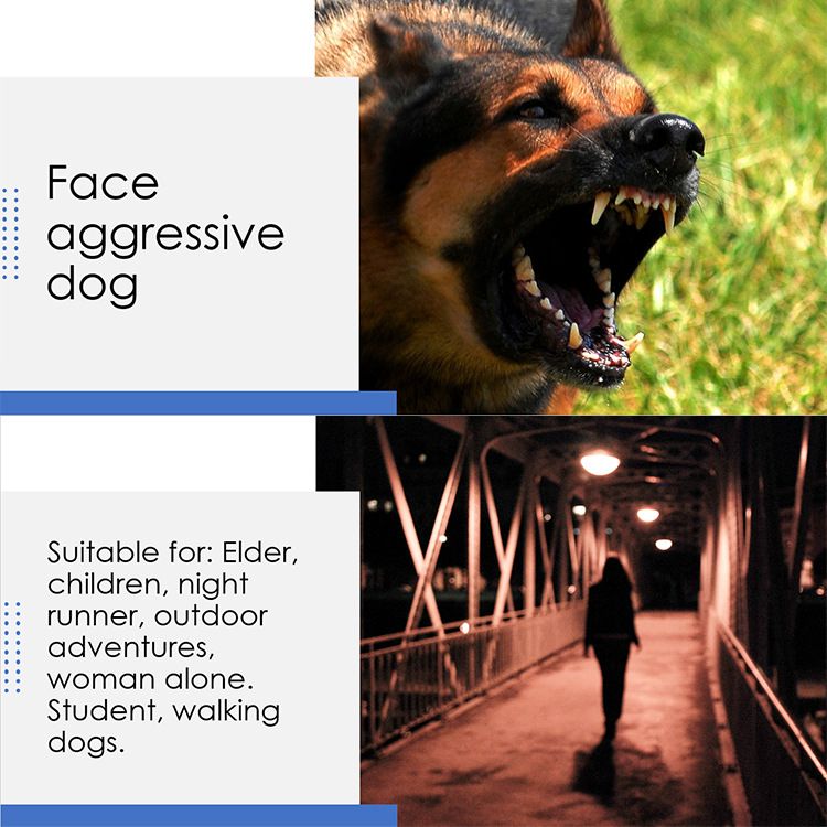 Отпугиватель собак ультразвуковой J-1003 Гром 250 - купить с доставкой ...