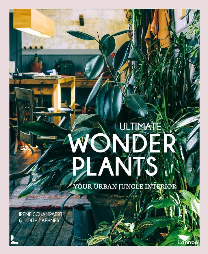 Ultimate Wonder Plants: Your Urban Jungle Interior / Самые главные