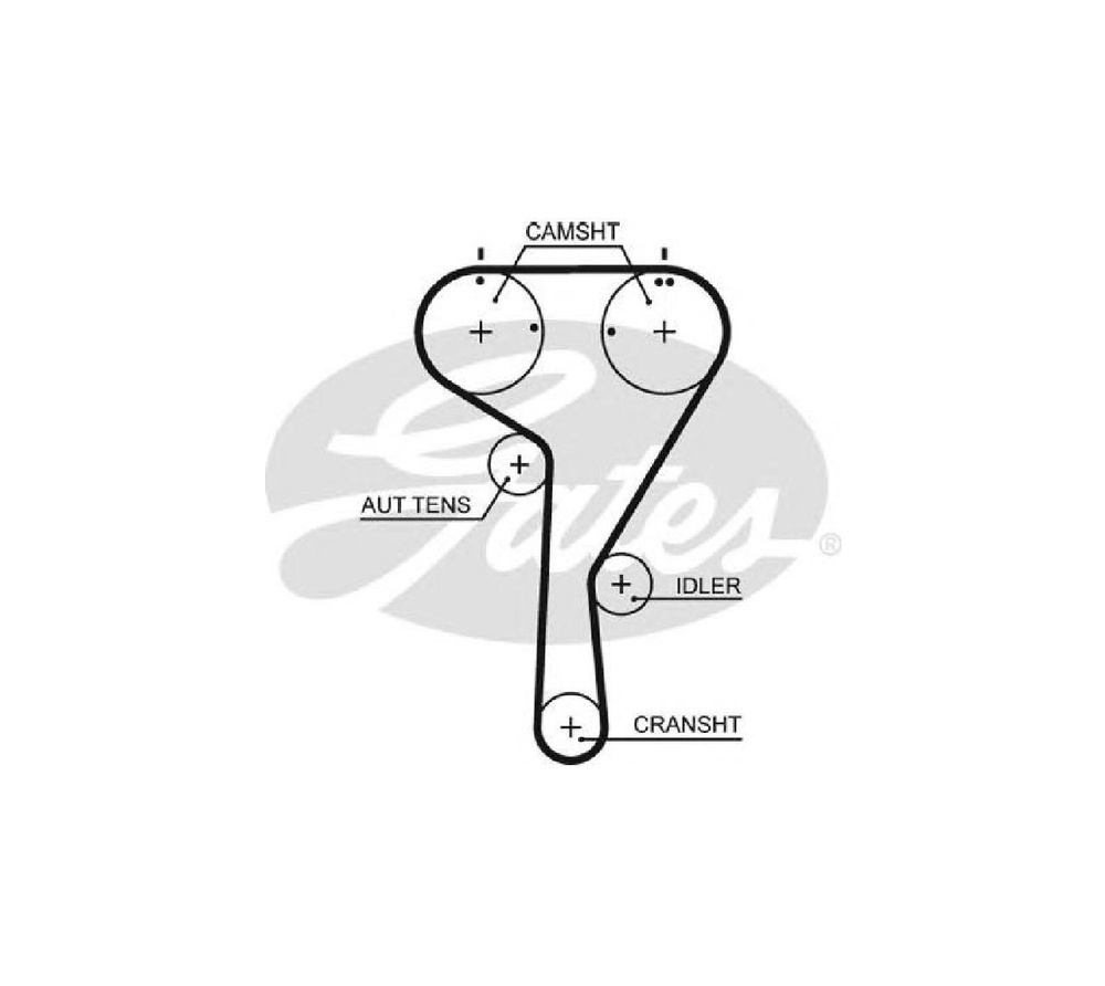 Ремень ГРМ - Gates арт. 5680XS - купить по выгодной цене в интернет ...