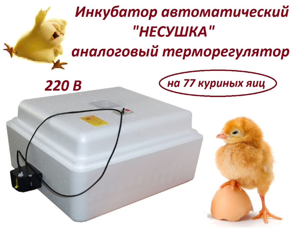 Инкубатор автоматический "Несушка" на 77 яиц, 220 В, аналоговый ...