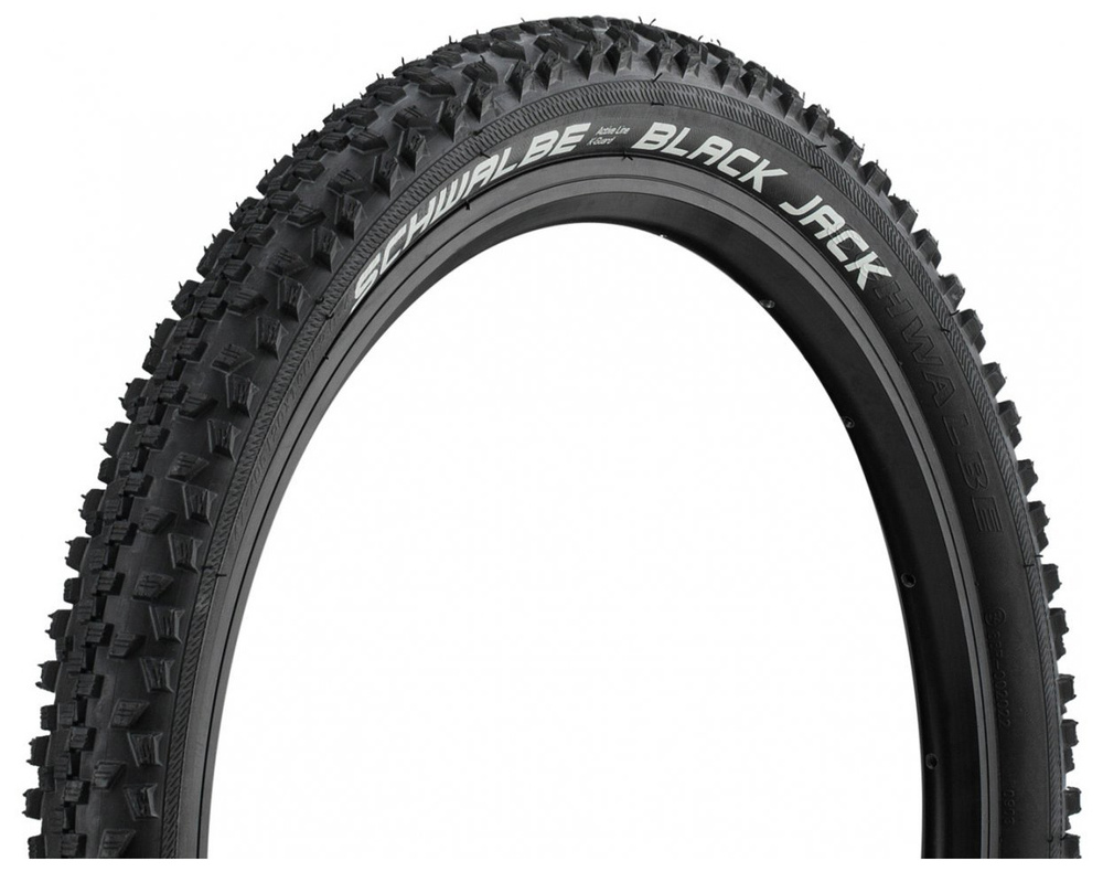 Schwalbe 20 OZON 583301600