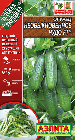 Огурец Необыкновенное чудо превосходного вкуса гладкий салатный огурец  #1