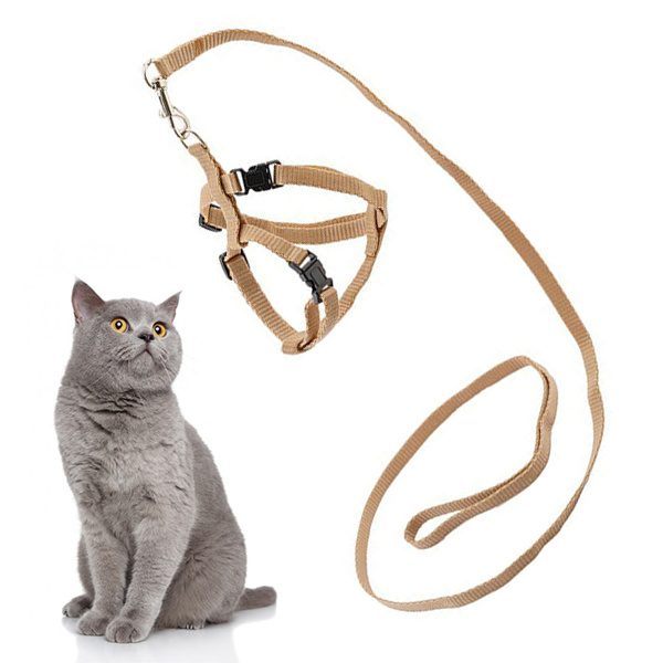 Комплект "Зооник" шлейка с поводком для кошек бежевая/ Стропа 10 мм ...