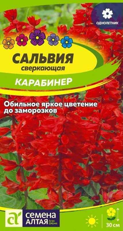 Семена Сальвия Карабинер сверкающая (0,1 гр) - Семена Алтая  #1