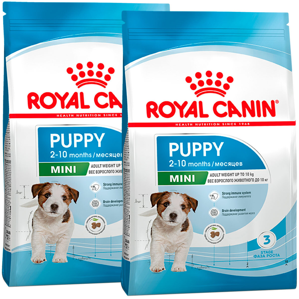 Royal canin hot sale mini food