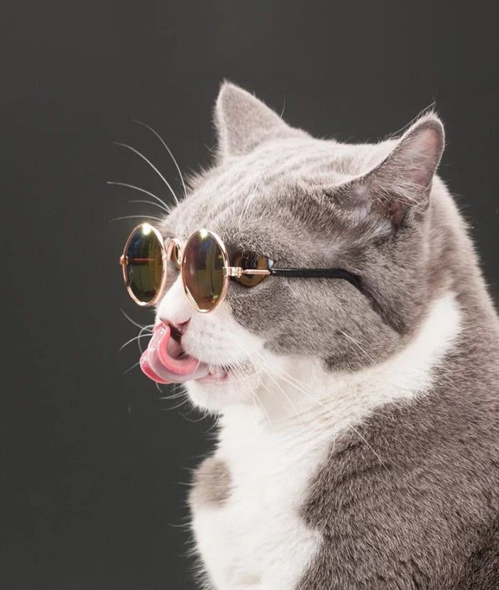 Солнцезащитные очки для кошек и собак, стильный аксессуар для животных, реквизит для фото  #1
