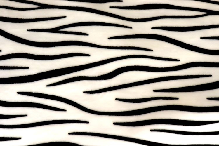 Ткань Dailyllike хлопок 476 Organic cotton zebra 45 х 55 см