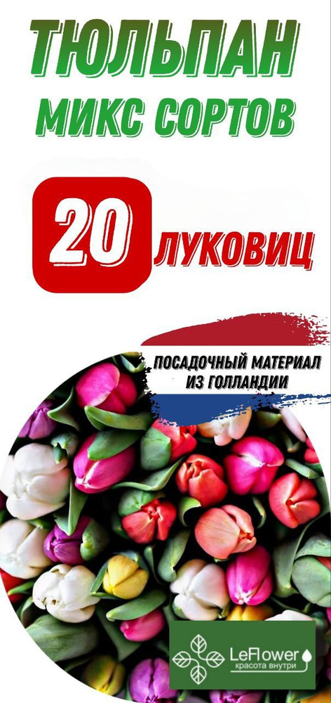 Тюльпан Луковица, Микс сортов, 20шт #1